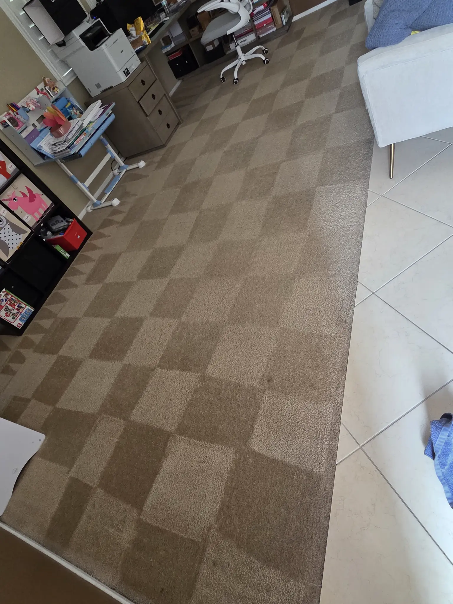 Before carpet cleaning