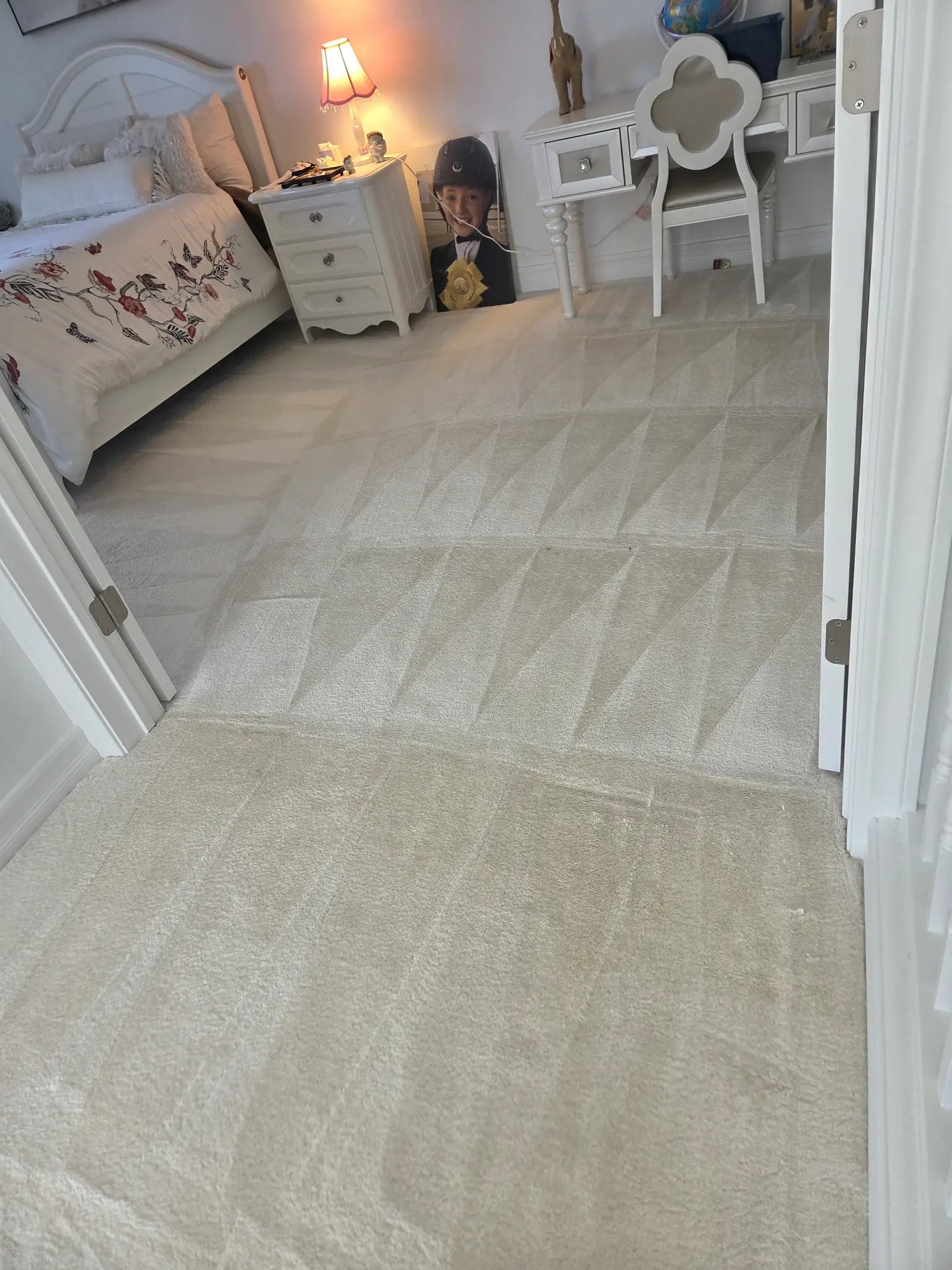 After carpet cleaning Steam Pro